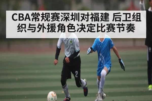 CBA常规赛深圳对福建 后卫组织与外援角色决定比赛节奏
